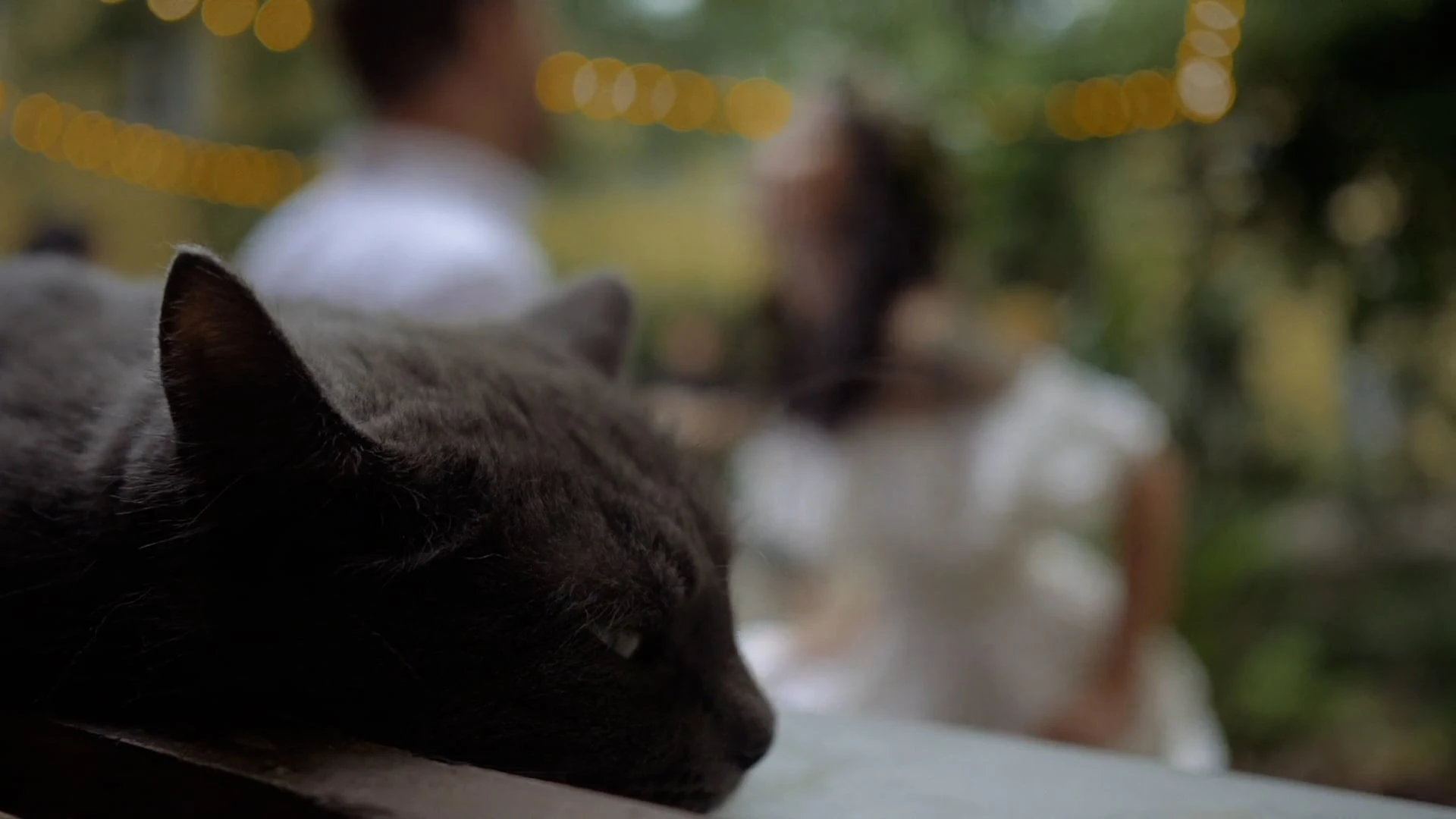 Максим Семенов