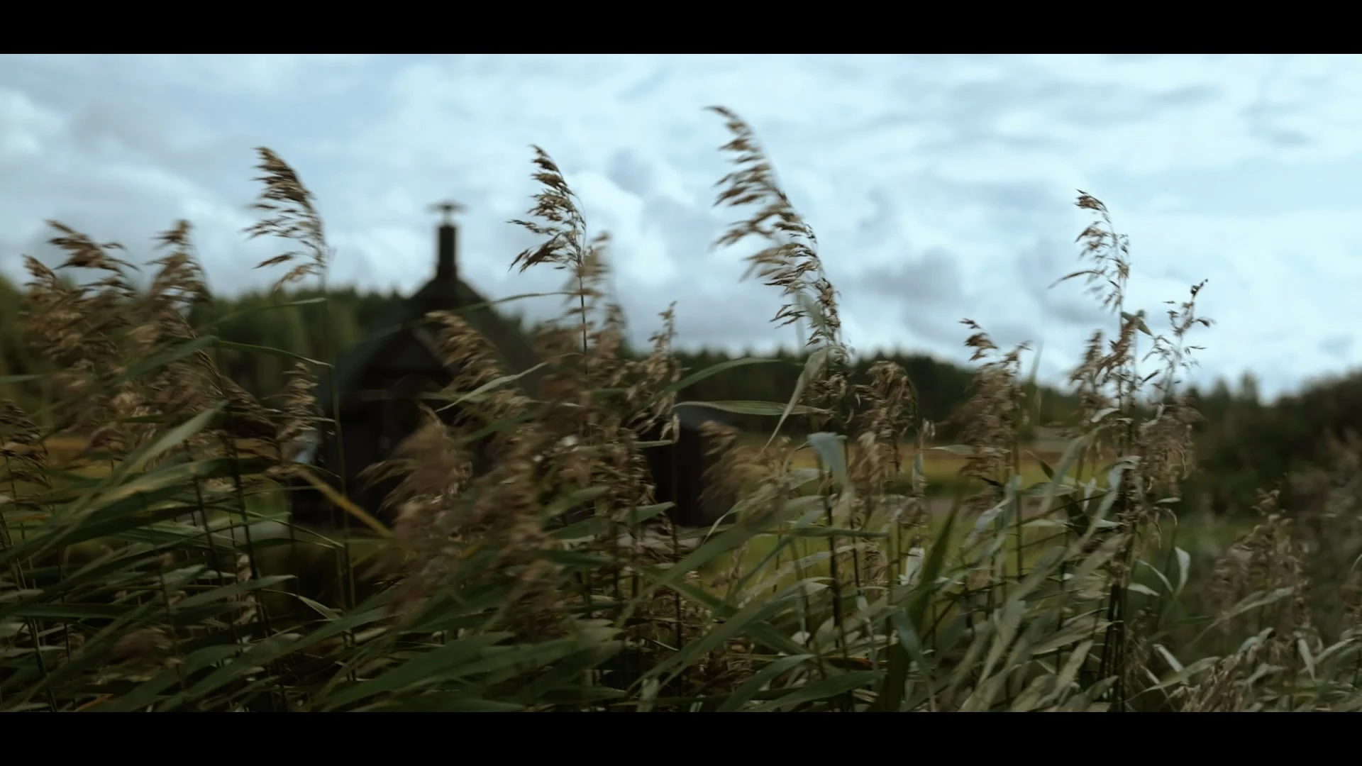 Лина Левина