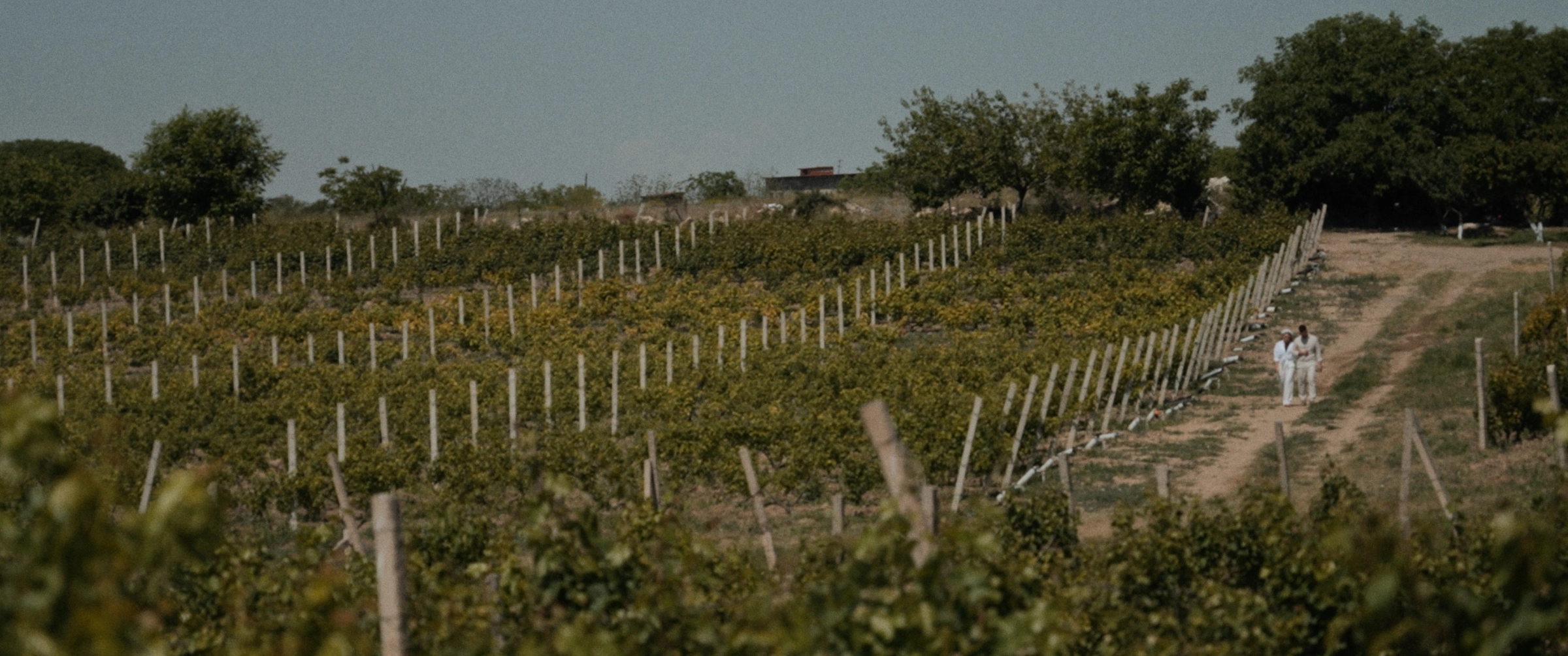 Алексей Комиссаров