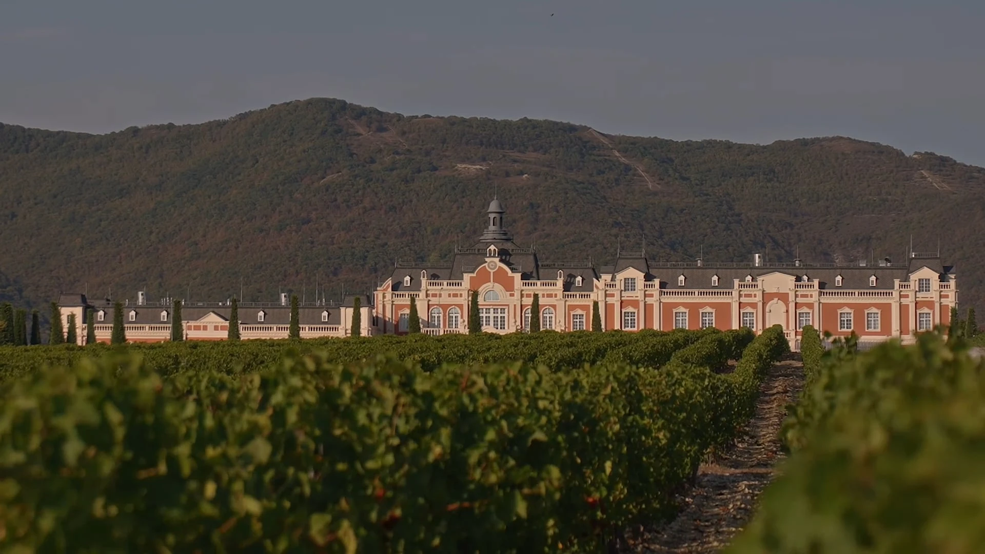 Евгений Никифоров