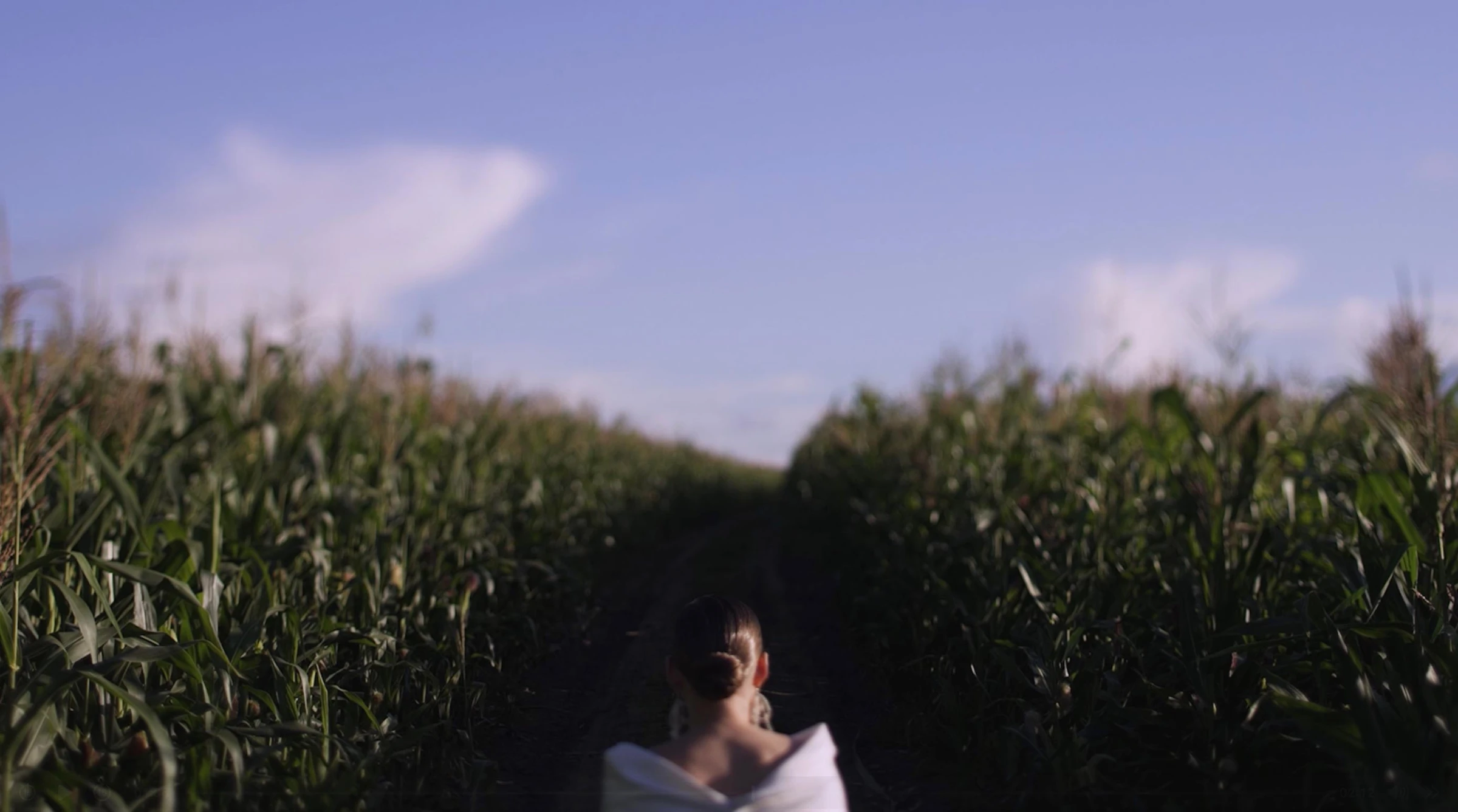 Андрей Виноградов