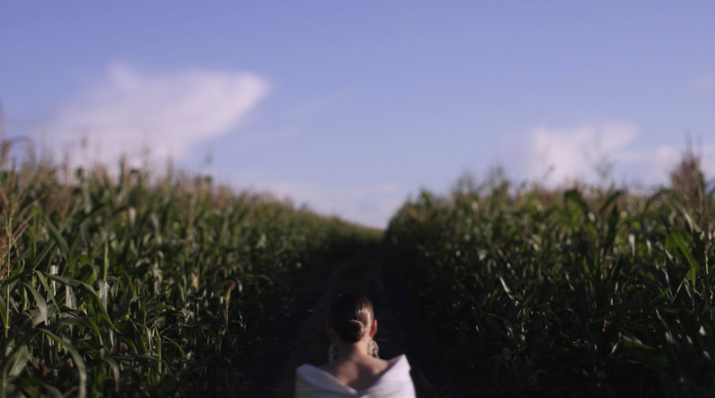 Андрей Виноградов