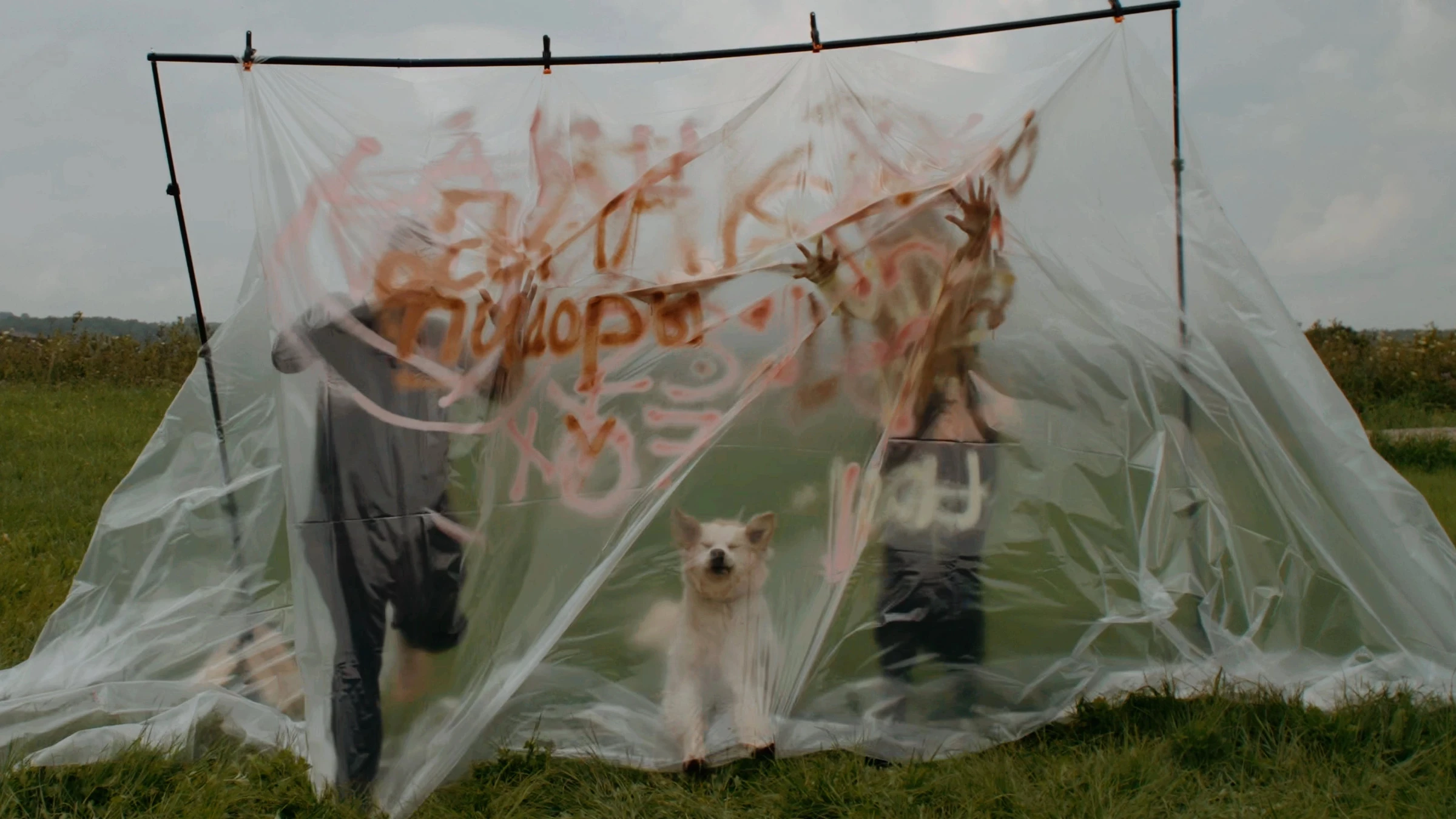 Алексей Таякин