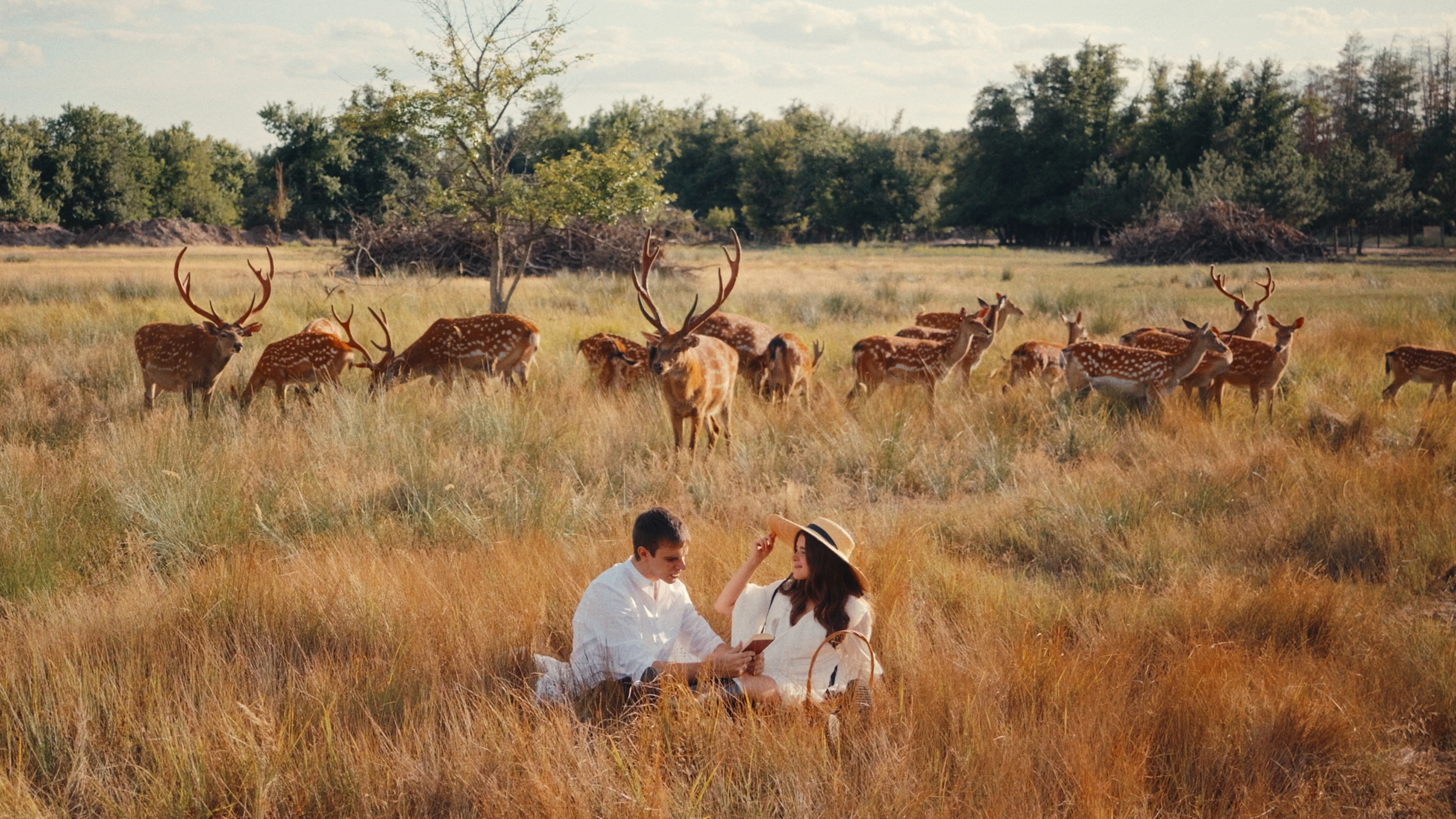 Михаил Медведев