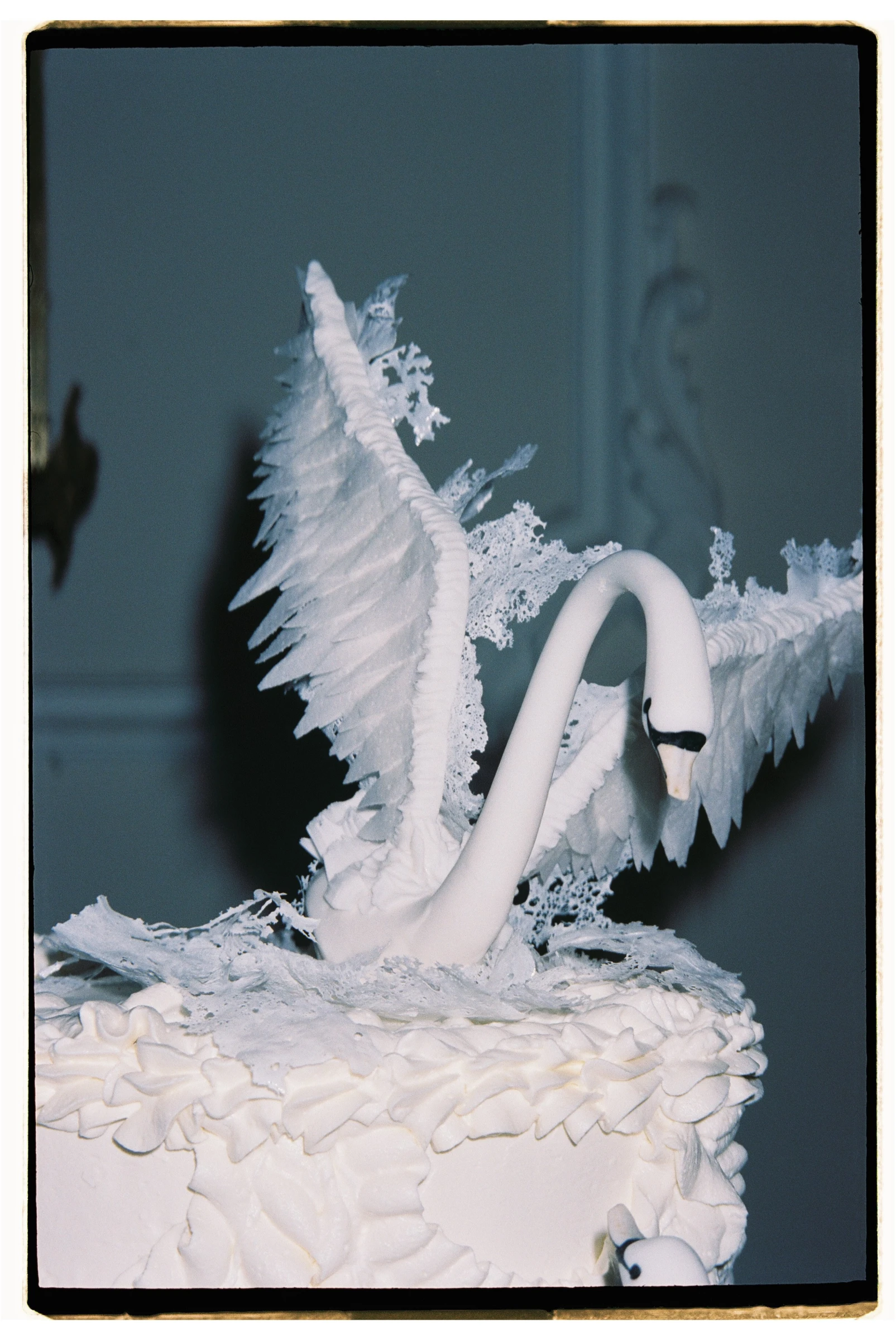 Фото из портфолио