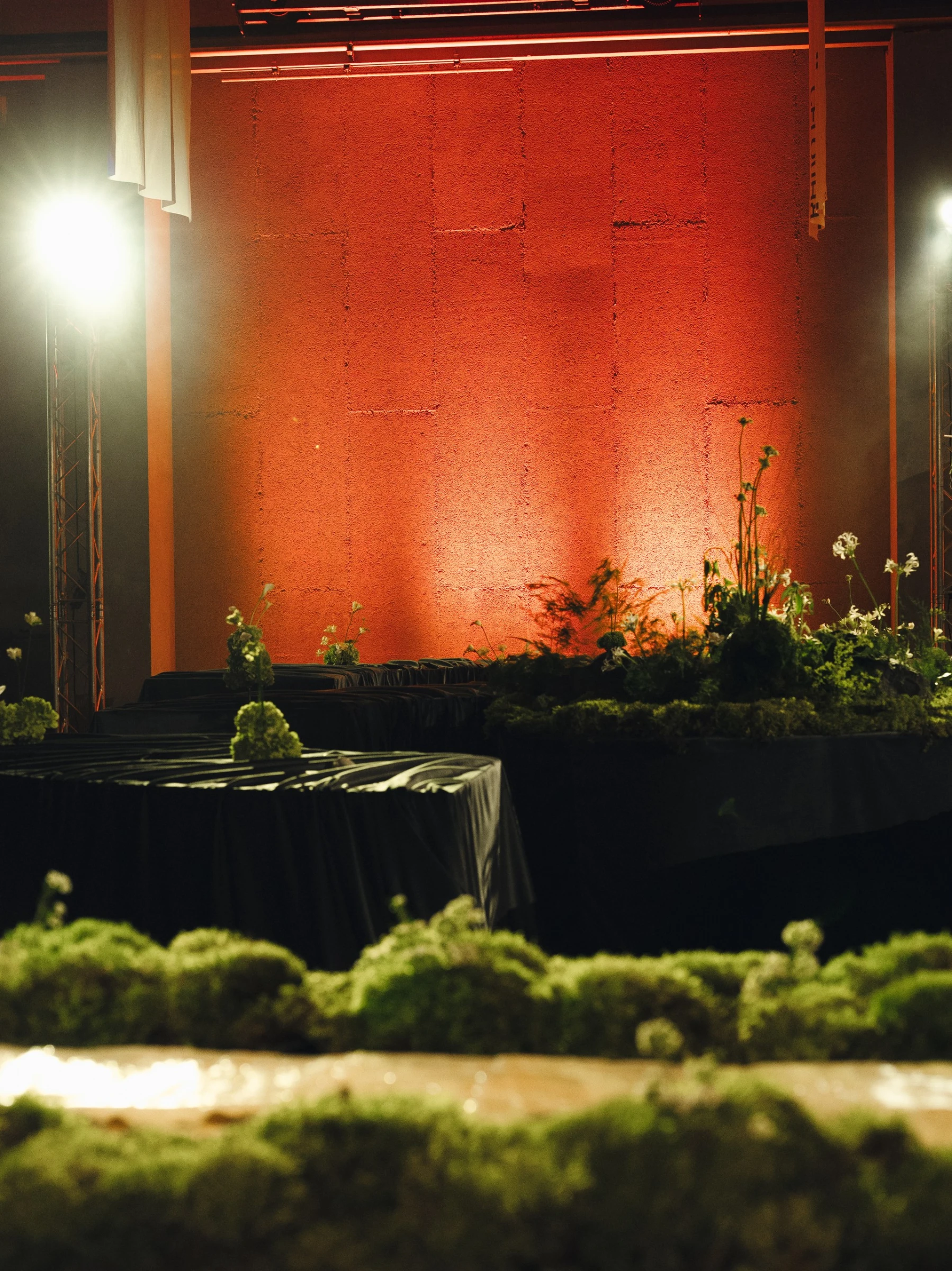 Фото из портфолио