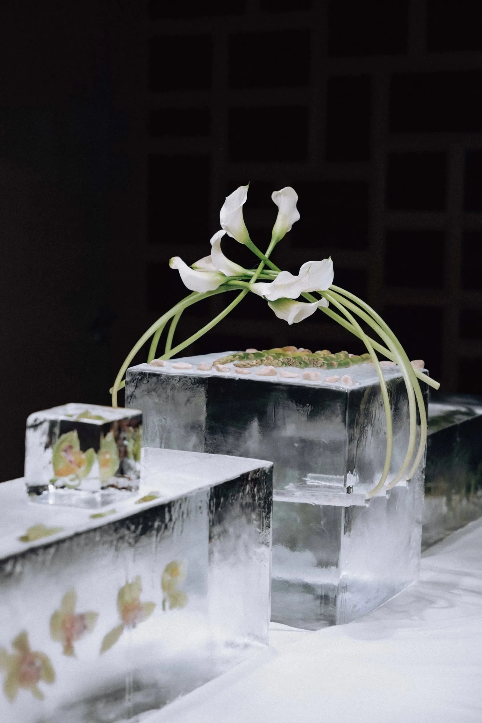 Фото из портфолио