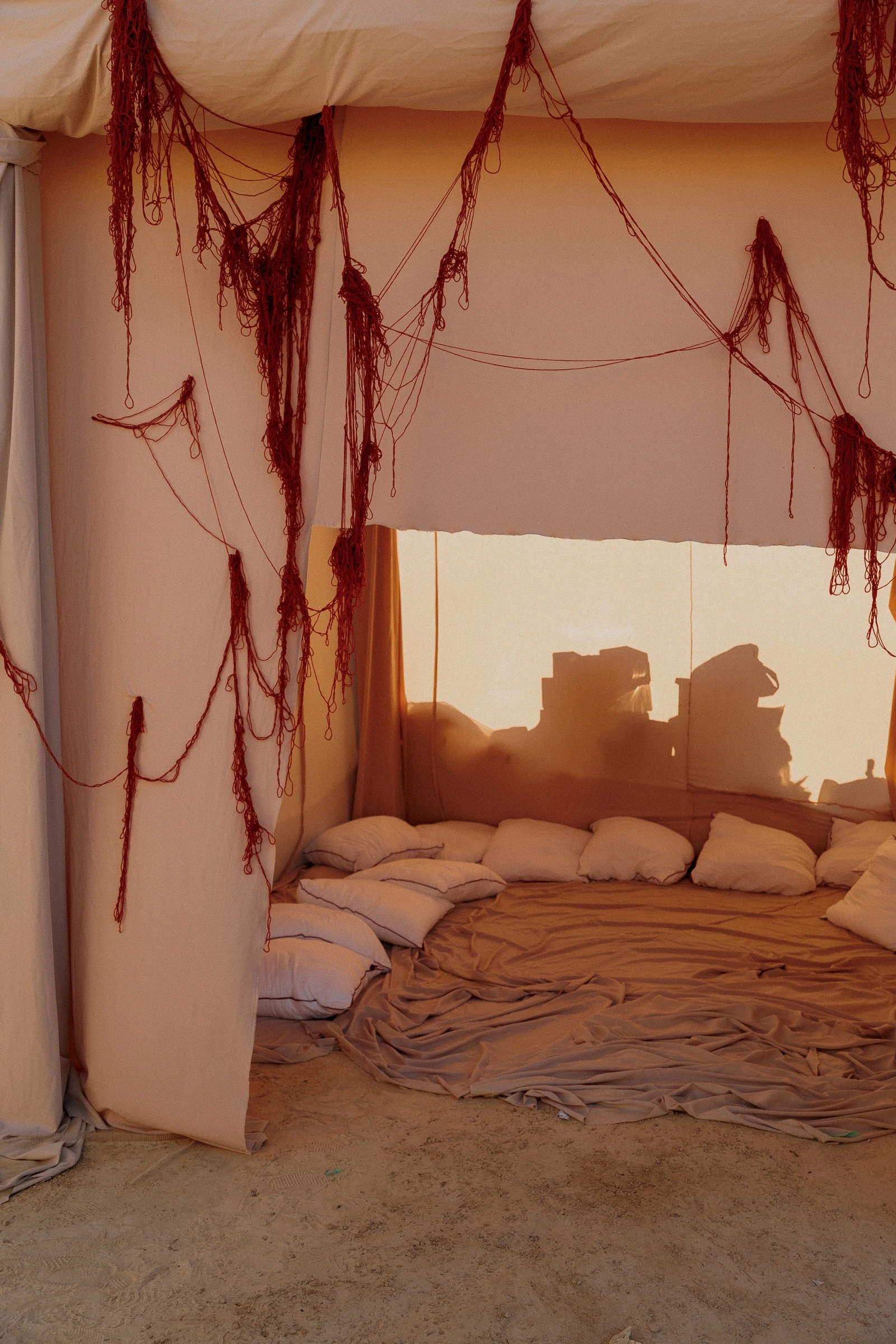 Фото из портфолио