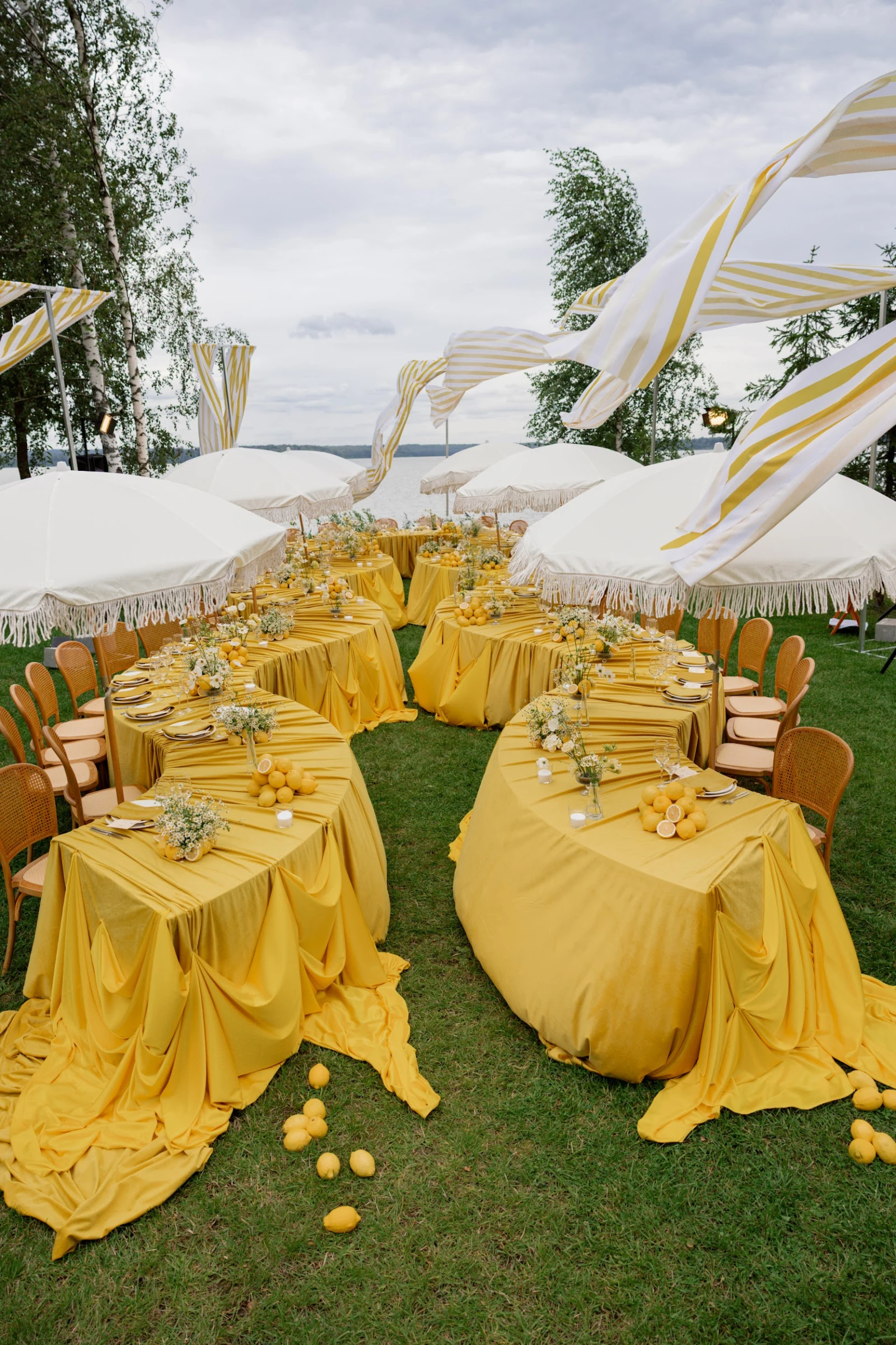 Фото из портфолио