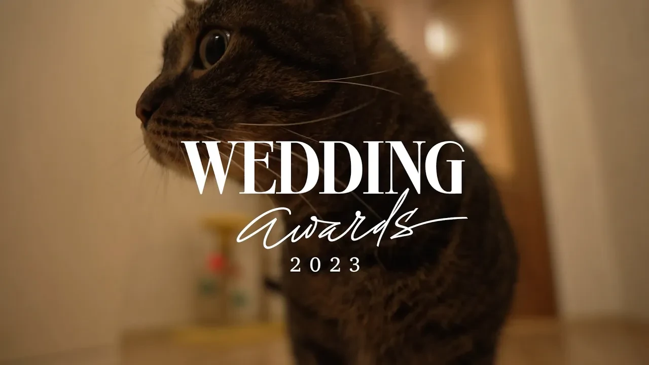 Алексей Емельянов