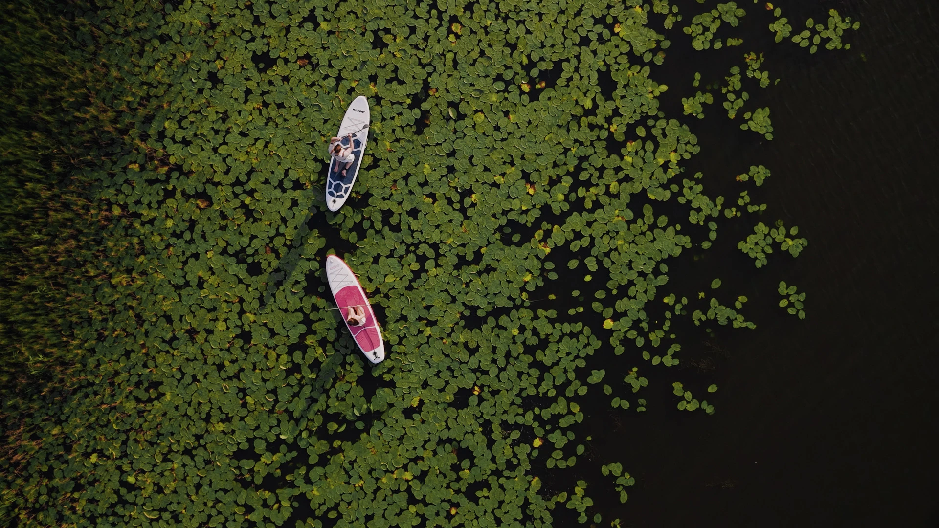 Студия AVATARFILMS