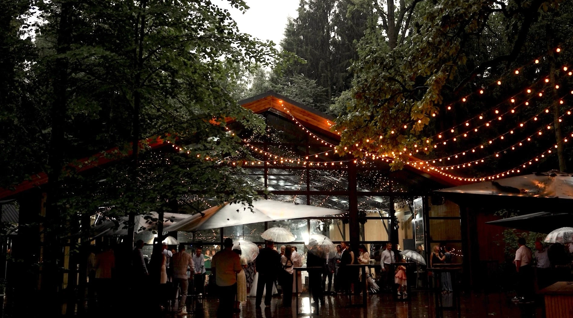 Елена Богатова