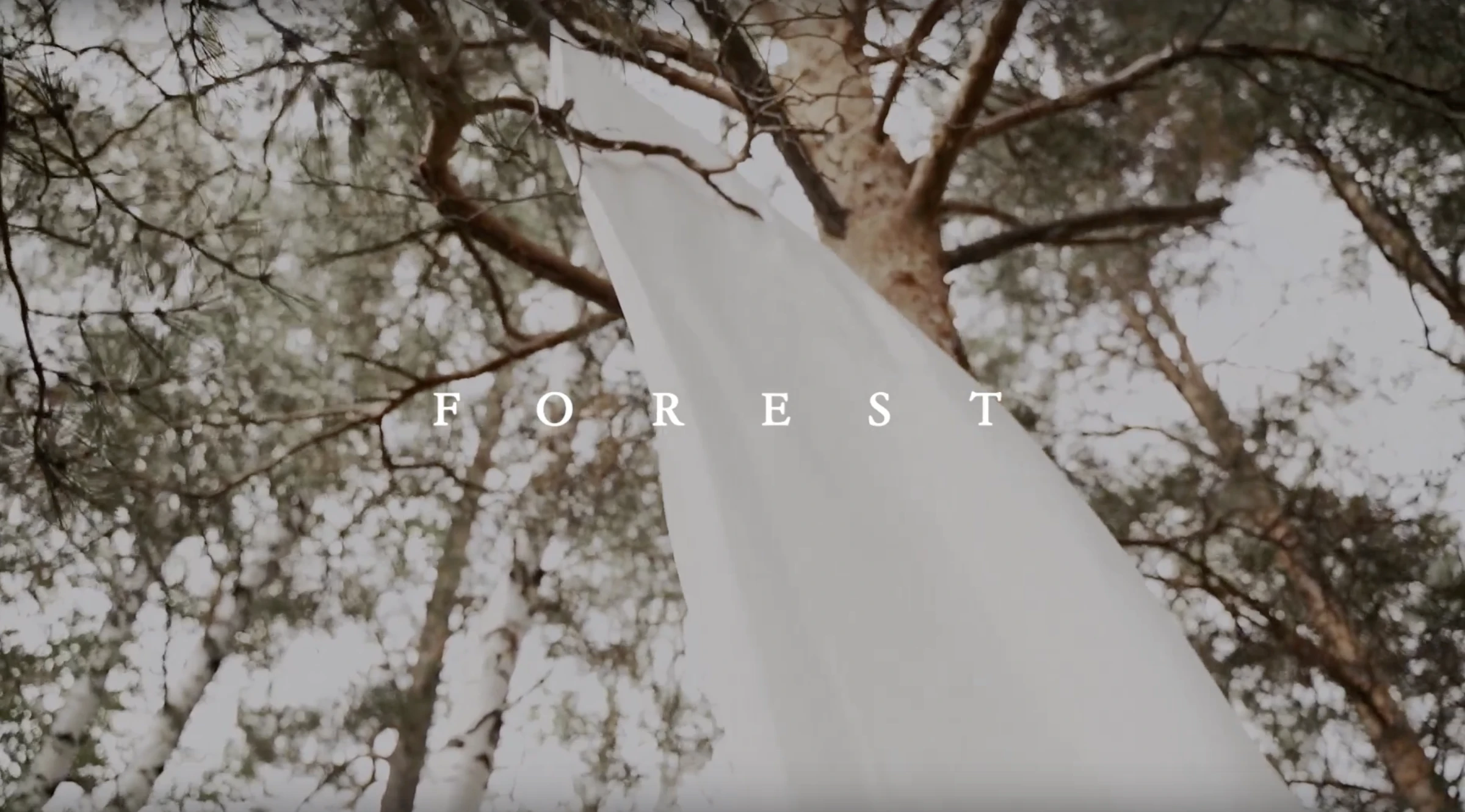 Алексей Надеин