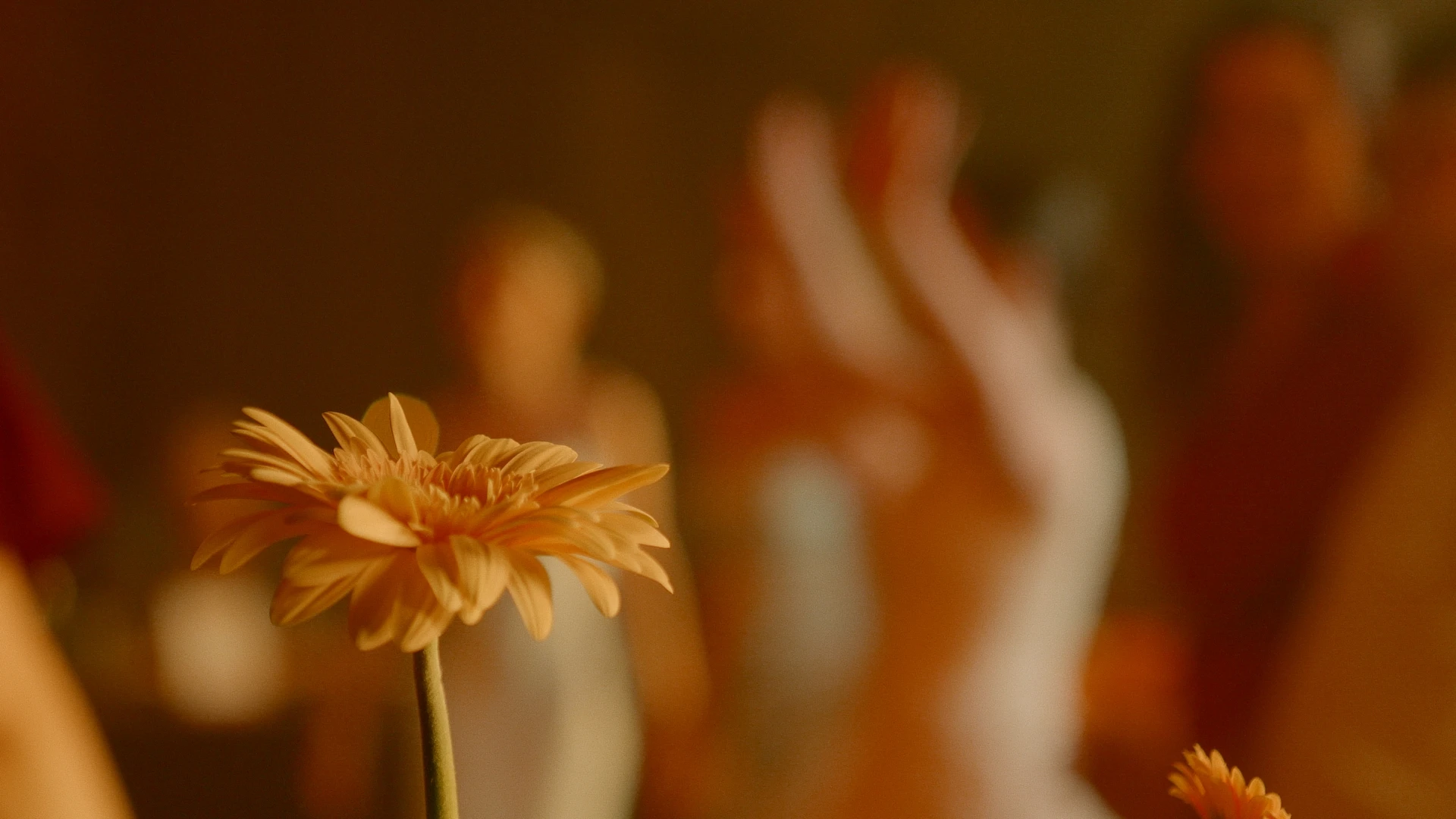 Вадим Галянт