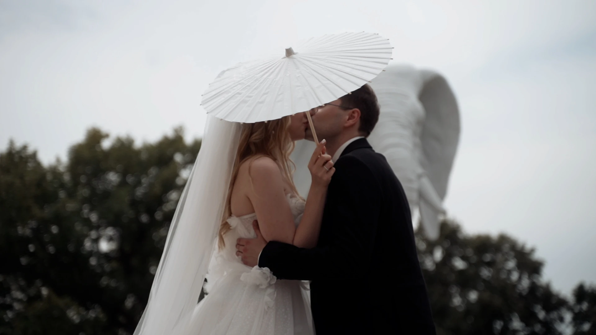 КАКТУС ВИДЕО