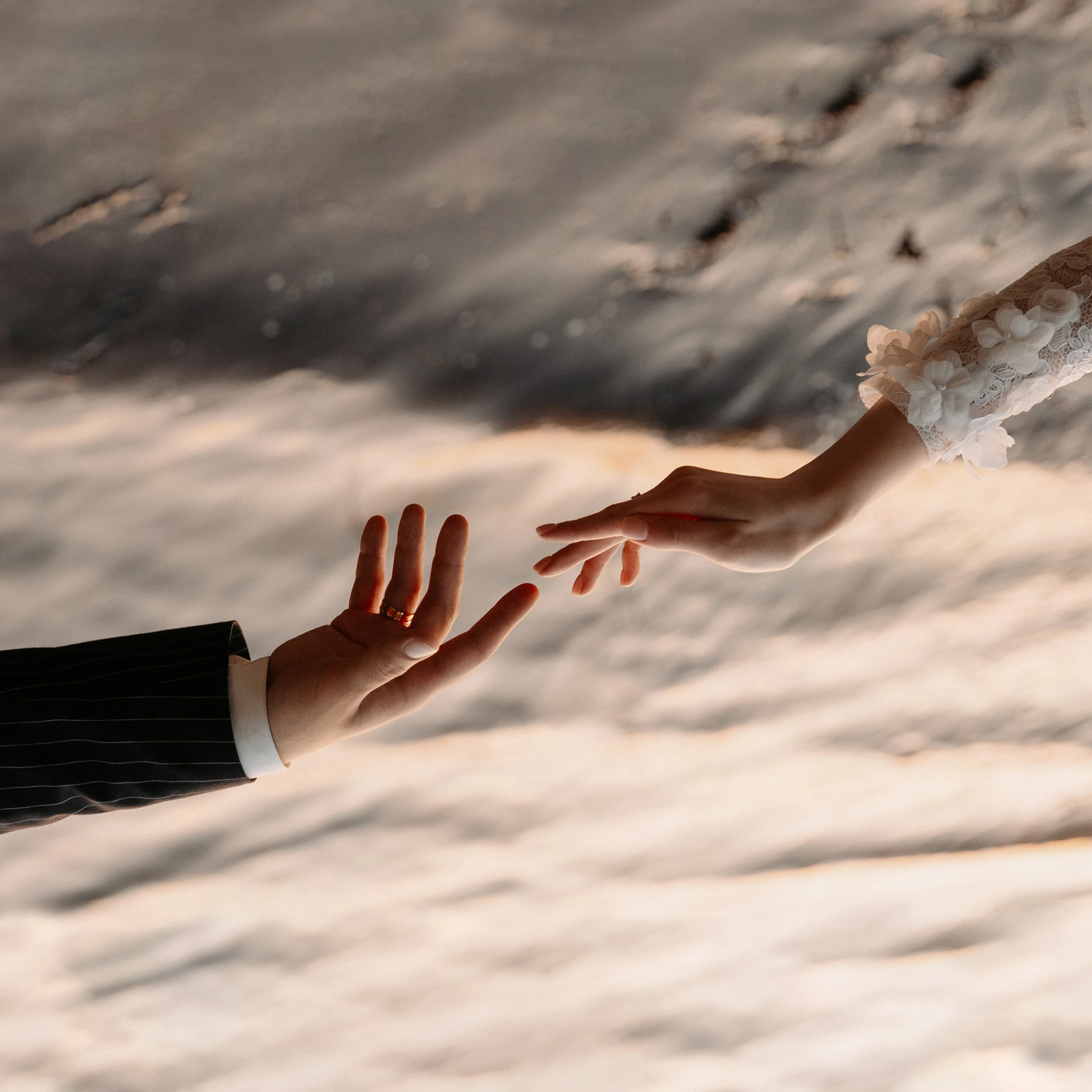 Никита Шевченко