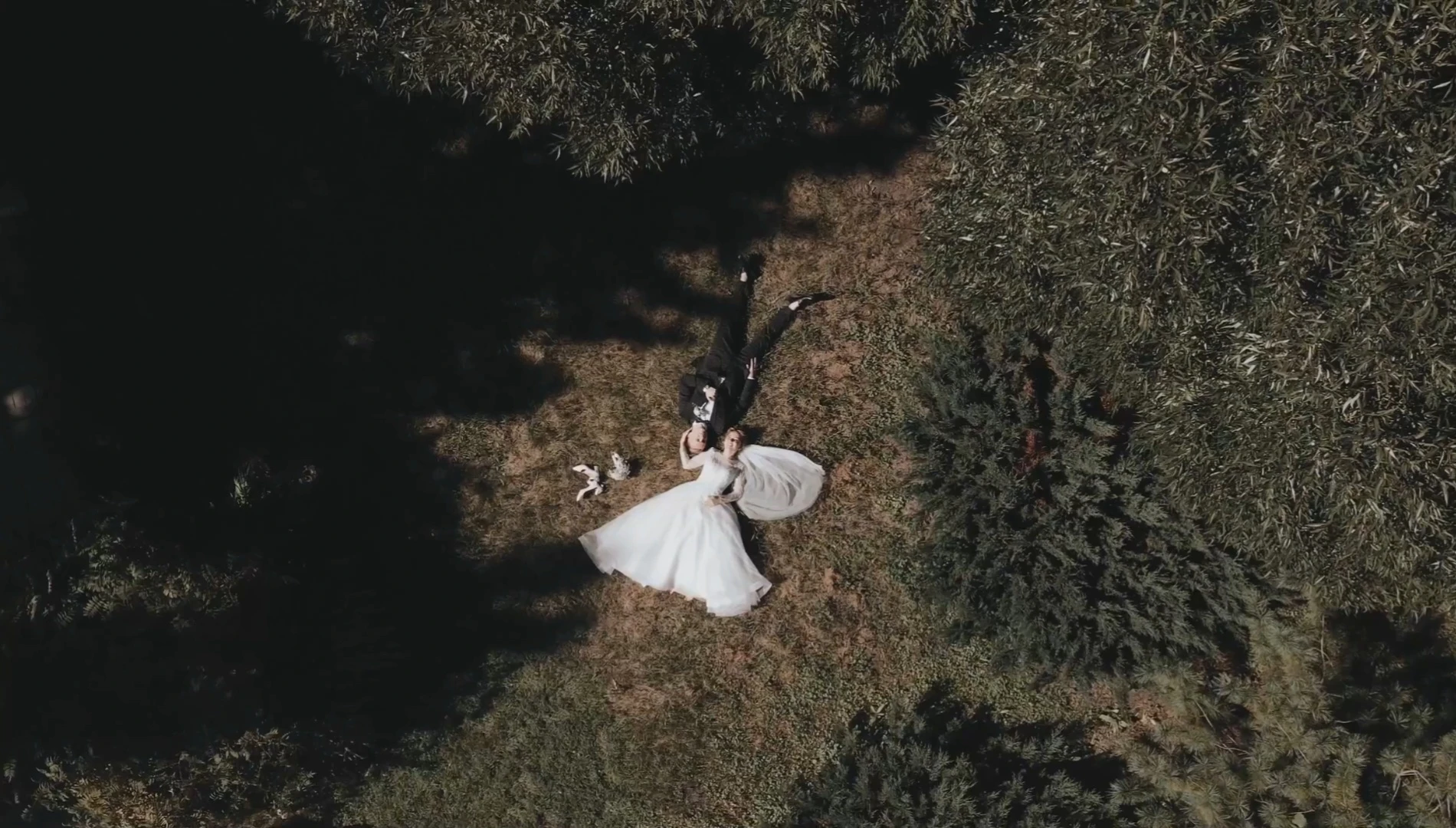 Дмитрий Островский