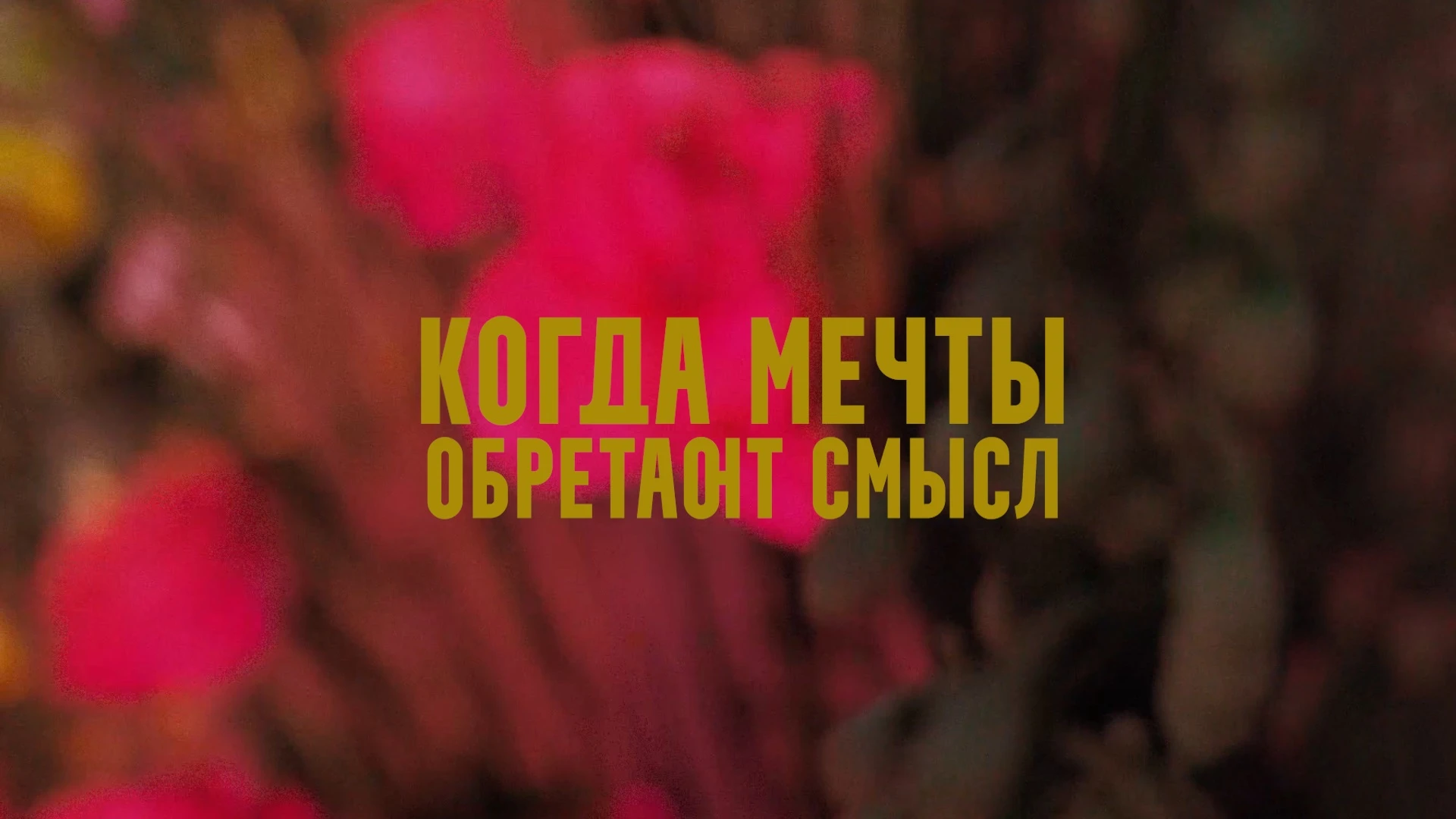 Игорь Белозёров