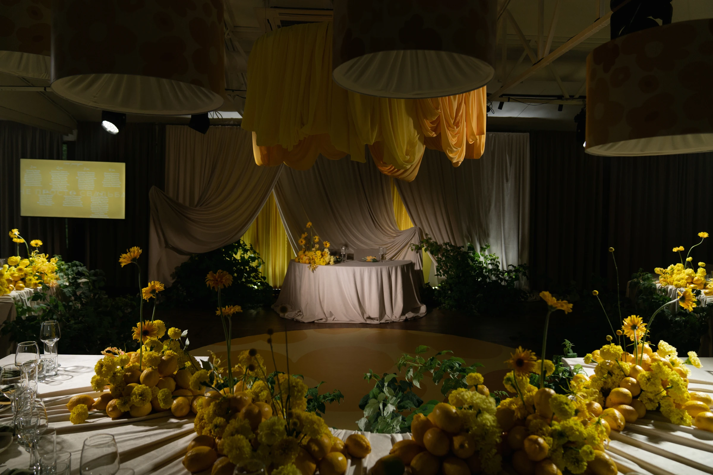 Елена Абрамова