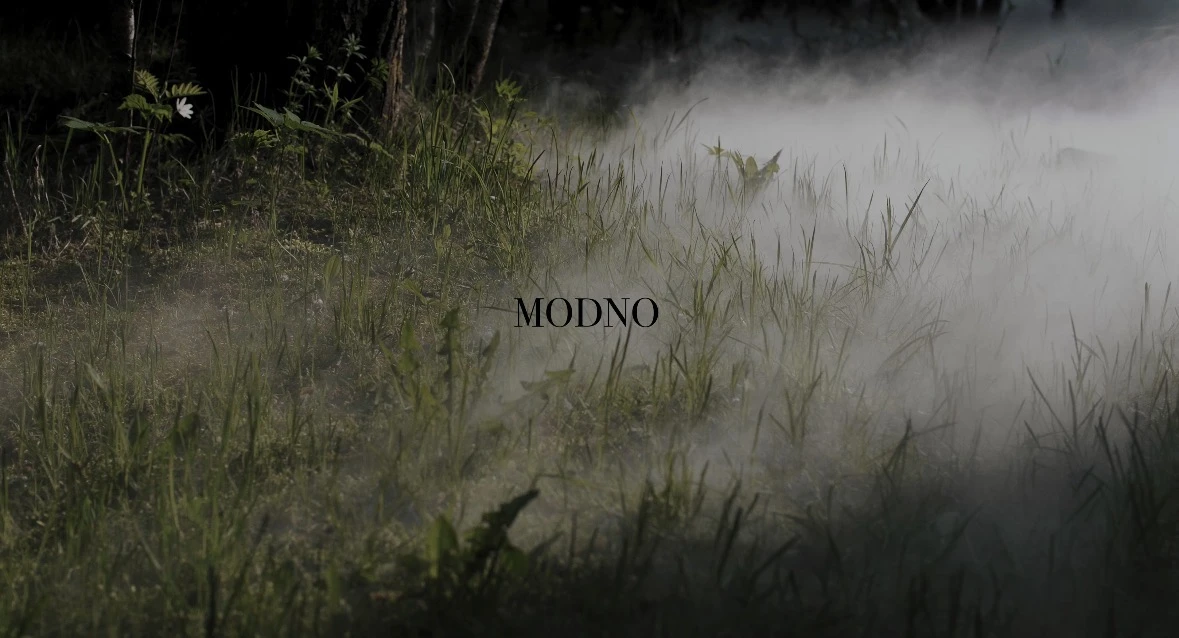  MODNO